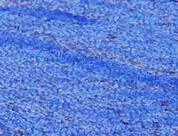 blue 10 шт. Свадебные украшения Радужный цвет скатерти с пайетками бегун день рождения отель обеспечение для банкета настольный бегун s современный camino de - Цвет: blue