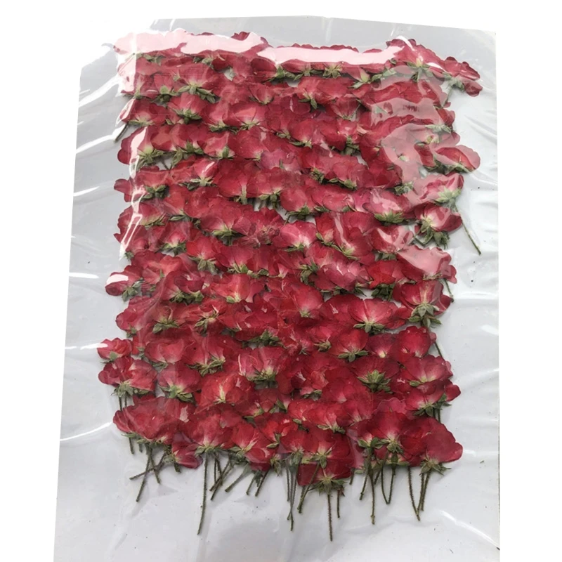 

Natural Pressed rose Flower with stem Eternal rose blossom for DIY Wedding invitations Photo Bookmark Gift Cards