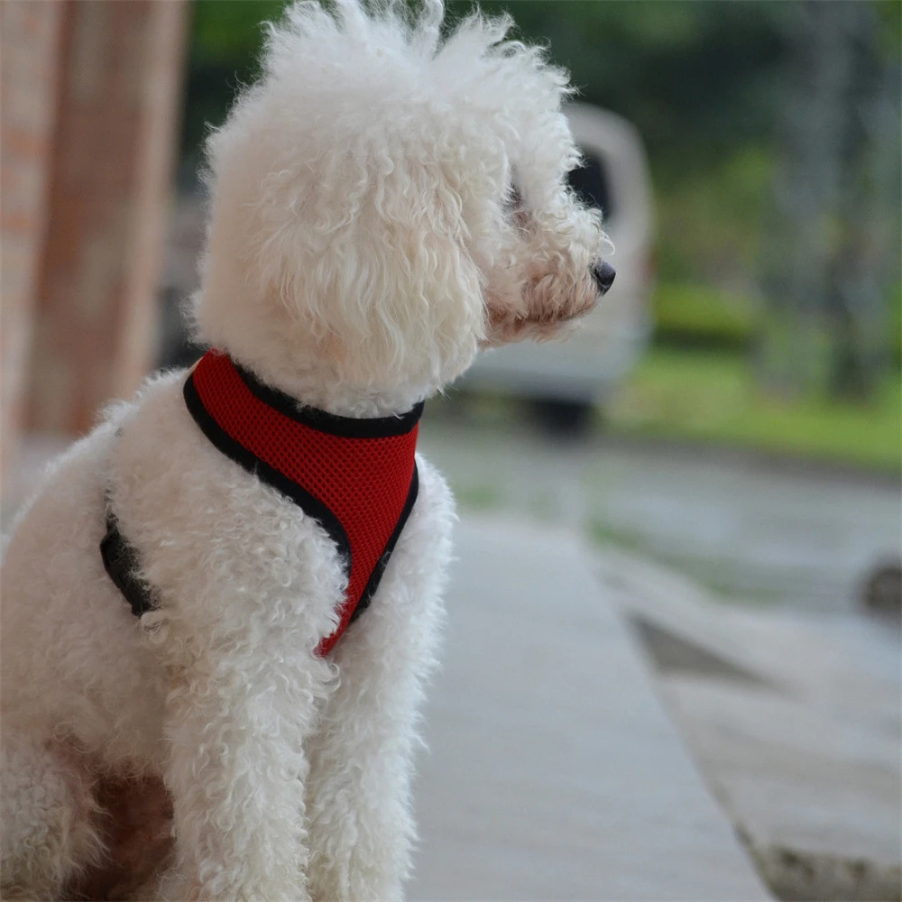 Регулируемая шлейка для собак Воздухопроницаемый Сетчатый поводок кошек