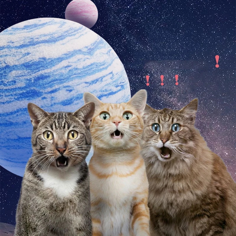 Игрушка-мяч для домашних животных собак кошек планета EVA текстура искусственные