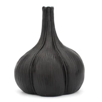 2022 new simple geometric black garlic vase flower desktop ornament home ornaments flower