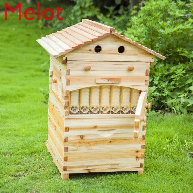 Smart automatic Wooden Beehive honey flowing Bee Hive with 7 PCS plastic beehive Frames good choice for home garden | Дом и сад