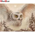 Алмазная живопись, полная выкладка, 5D алмазная вышивка, животные, Сова, распродажа, Алмазная мозаика, картина стразы, украшение для дома ZWQ