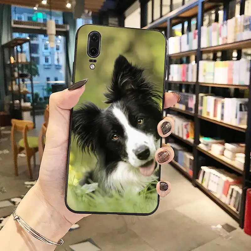 

Border Collie Dog Breed Phone Case For Huawei honor Mate P 10 20 30 40 i 9 8 pro x Lite smart 2019 nova 5t