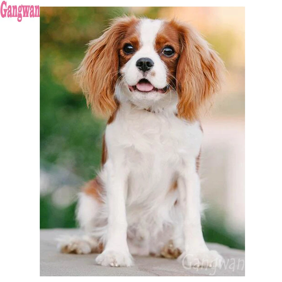 

Алмазная живопись 5D Стразы, алмазная вышивка «сделай сам», модель Cavalier, полная вышивка, вышивка крестиком