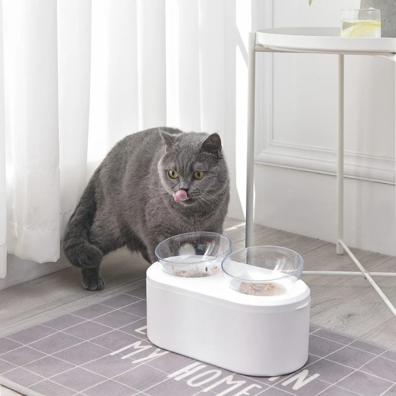 Кошка Собака поднятый кормушка с герметичным хранения Pet Съемная миска для воды с повышенным подставкой