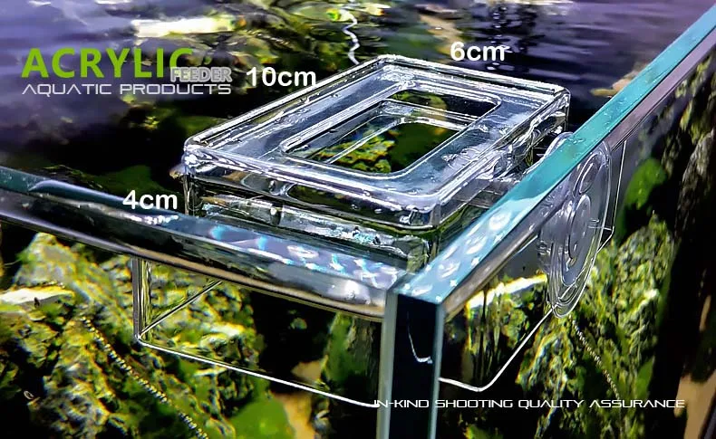 Square feeder S size Фидер для рыб Кронштейн кольцо аквариум для тропических рыбок свежий Риф Танк повесить на держатель многофункциональный 2 в 1 - Цвет: Square feeder S size