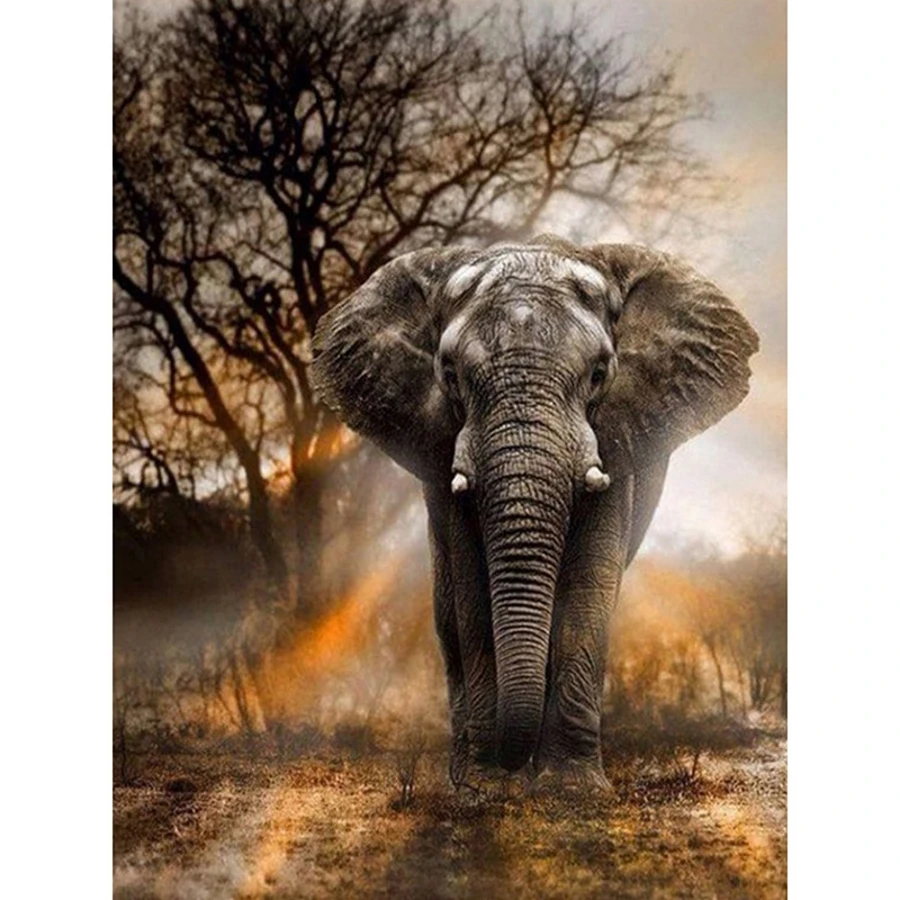 

Full square / round diamond embroidery animal elephant 5D DIY diamond painting cross stitch rhinestone mosaic