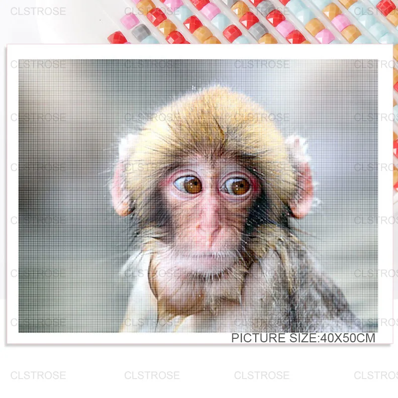 

Diy Diamond Painting Animal Monkey Swinging On a Swing Gift Home Decoration Diamond Embroidered Square Diamond Round Diamond