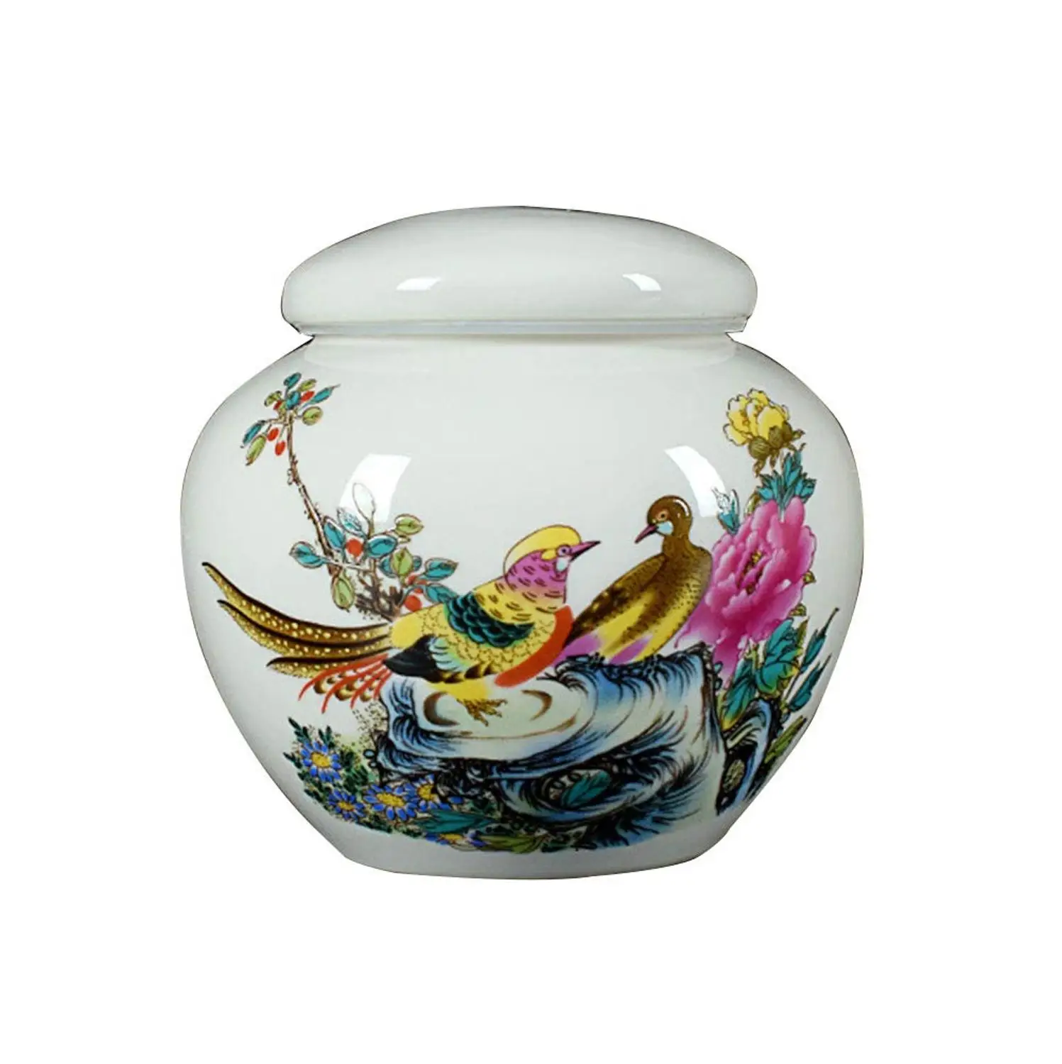 Керамическая герметизация средних банок с животными в коробке для ПЭТ|Гробы и