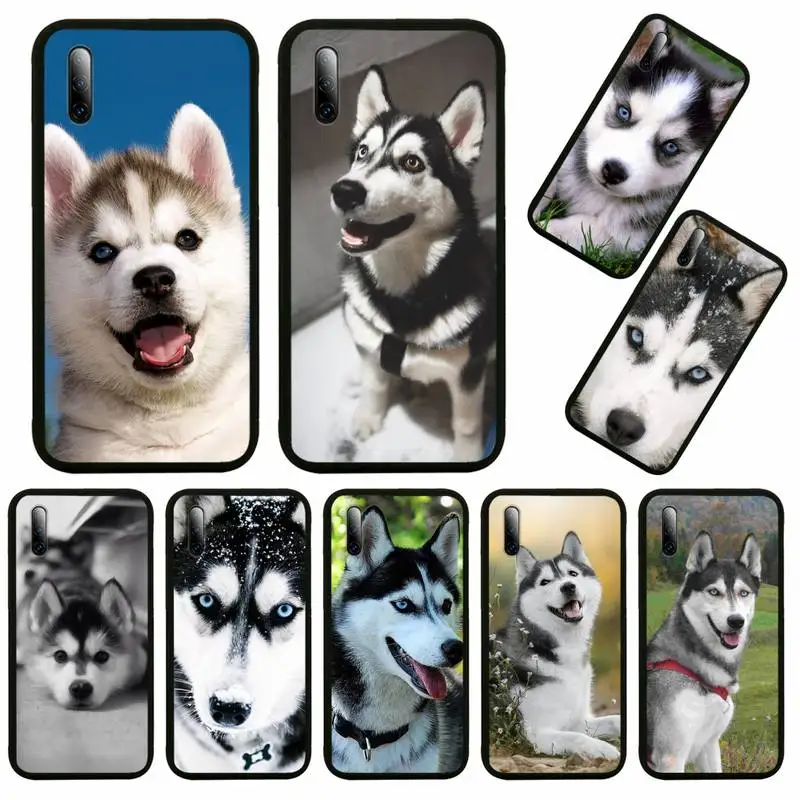 

Alaskan Husky Dog Cute Puppy Phone Case for redmi 6 7A 8A 9A 10X 4G note 8 8T 9S 10 K30 K20 pro max Cover