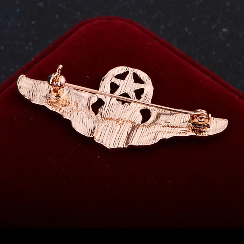 Модные Insignia военной академии сотрудник Броши командовать пять крыло со звездой