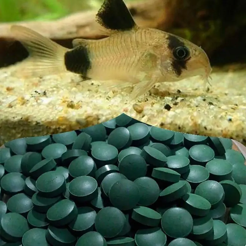 

Tablets Enrichment Favorite Food for Fish and Crystal Red Shrimp
