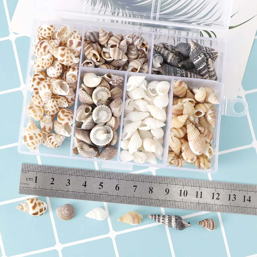 1 коробка, природа, Микс, стиль, пляж, мода, ракушки, морские ракушки для DIY Caft, Декор, ювелирные изделия, ремесло, аксессуары, отверстия, ракушка, шарм, ногтей Sh