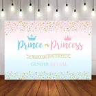 Наследного принца или принцессы пол выявить розового или голубого детского дня рождения вечерние украшения мальчик или девочка объявление о поле расходные материалы