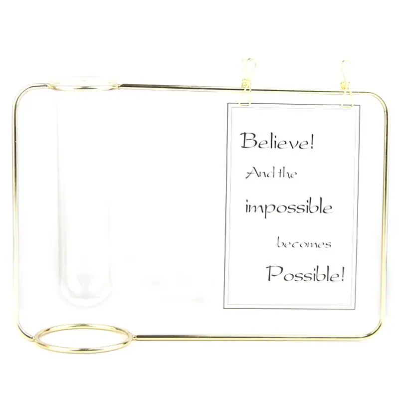 Промо акция! Подвесная пробирка прозрачная стеклянная ваза металлическая