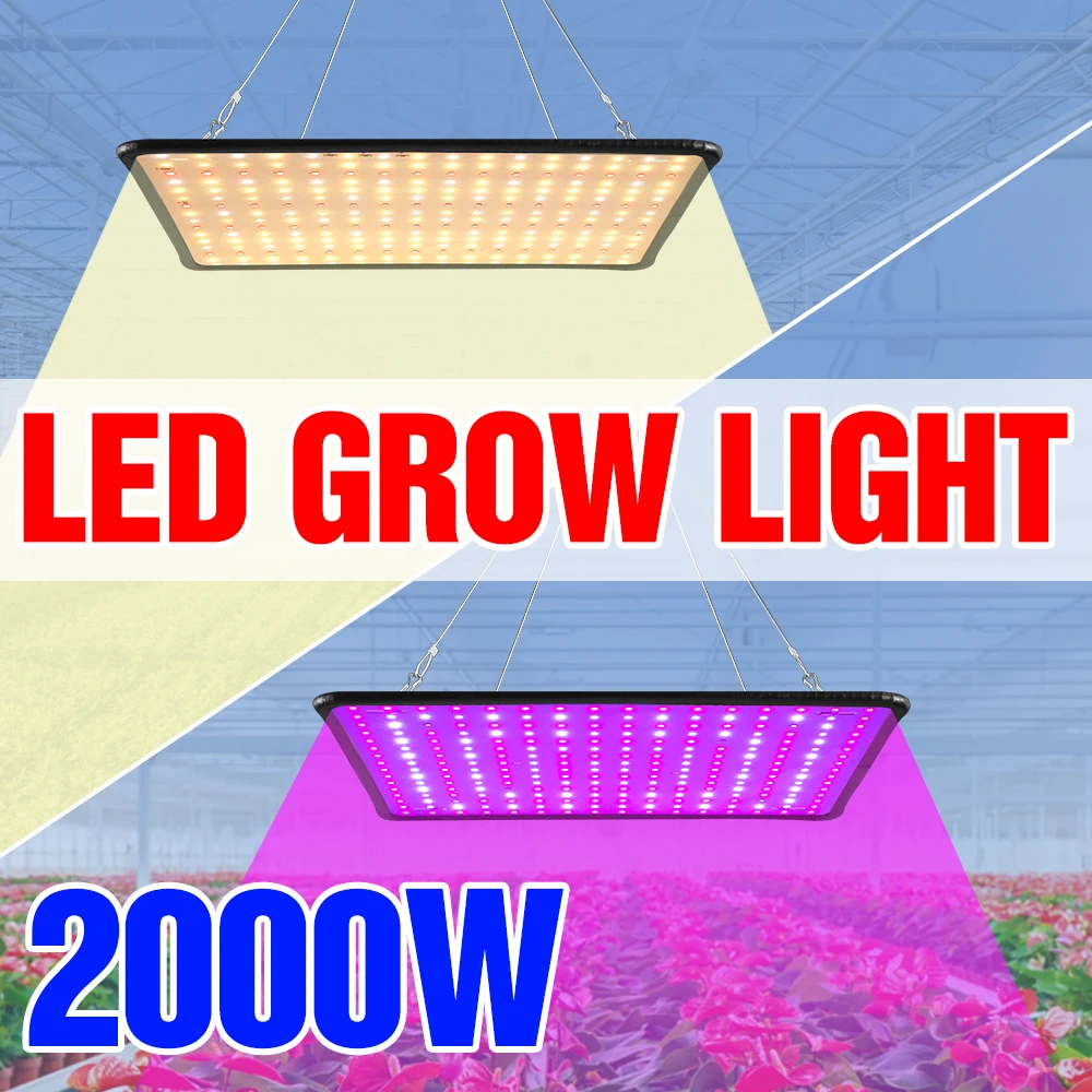 

Bombilla 2000W LED Grow Light Indoor Phyto Lamp LED Full Spectrum 220V Plant Seedling Bulb Hydroponic LED Greenhouse Growth Tent