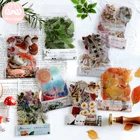 Декоративные Канцелярские наклейки Mr.paper 40, шт.пакет, растение, цветок, гриб, гинкго, домашнее животное, декор наклейки для дневника Скрапбукинг