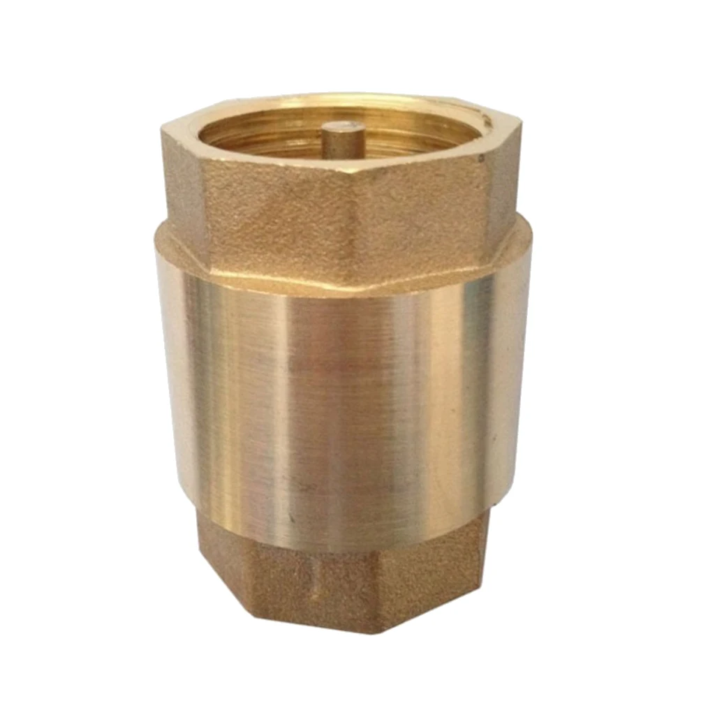 Non Return One Way Check Valve for Water Petrol Oils ect. 2 Inch |