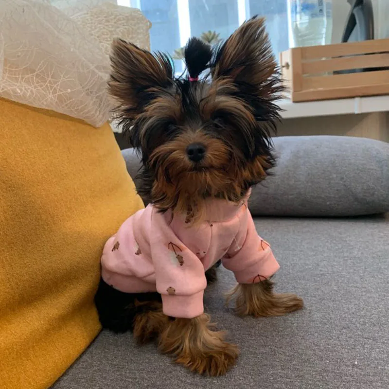 Милая одежда для маленьких собак Shih Tzu толстовка с капюшоном йоркширского