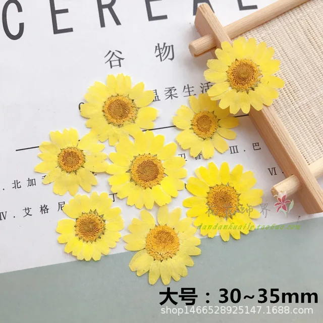 12 шт окрашенные белого цвета с украшением в виде кристаллов и принтом хризантем