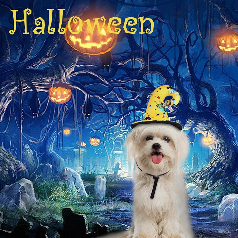 Желтая шляпа ведьмы для собак и кошек костюмы домашних животных на Хэллоуин