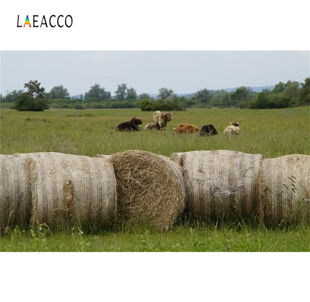 Laeacco ферма страна сено набор пастбищных животных фотографии фоны индивидуальные