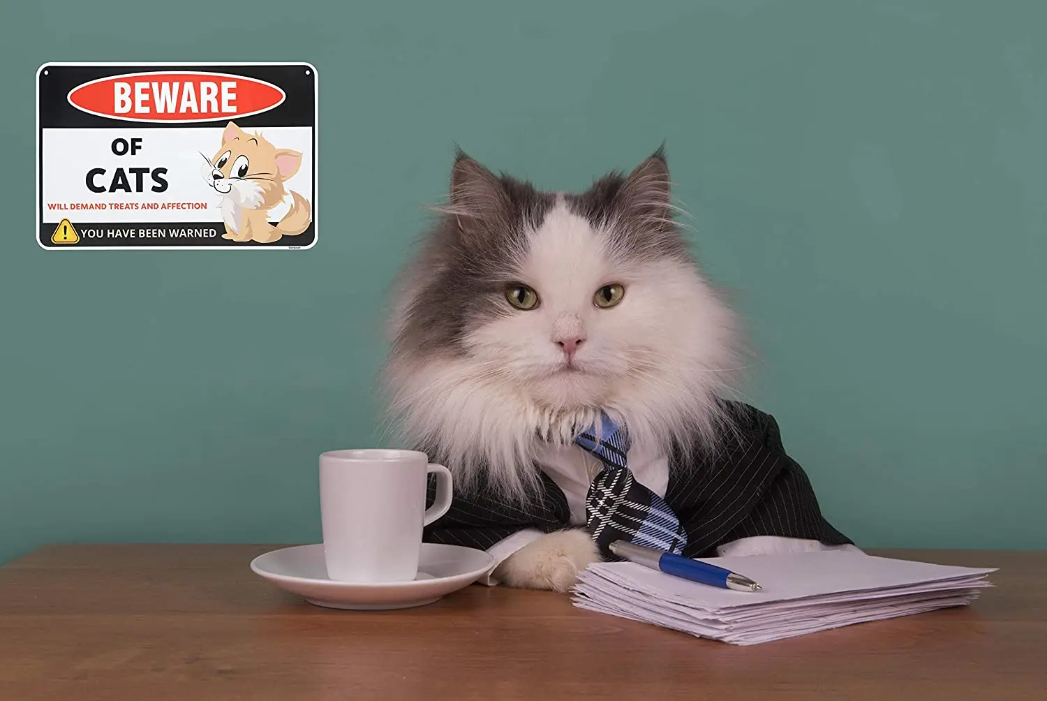 

Venicor Beware of Cat Sign - 8 x 12 Inches - Aluminum - Funny Cat Door Signs - Attack Cat Sign - Cute Cats Warning Decor Signs