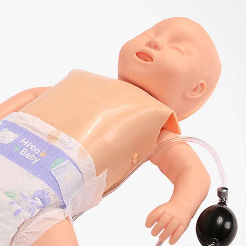 Chinon Infant Cardiopulmonary Resuscitation Simulator Neonatal CPR Emergency Model Medicine Student Medical Science Sources | Канцтовары