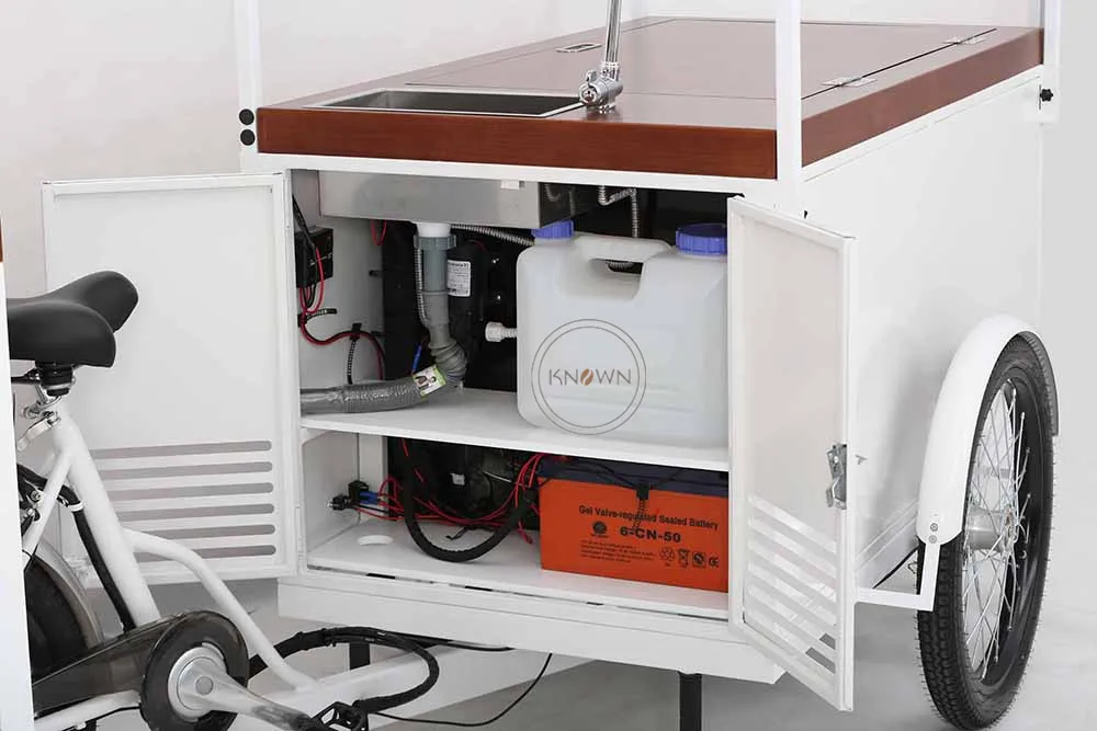 2021 взрослый электрическая грузовой трехколесный велосипед Семья холодильник