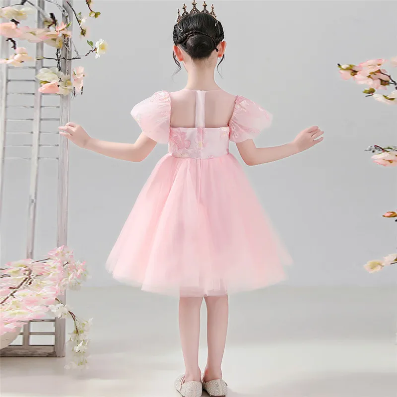 

Baby Kids Elegant Pink Color Embroidery Flowers Birthday Wedding Party Princess Mesh Dress Little Girls Piano Host Dress Wear