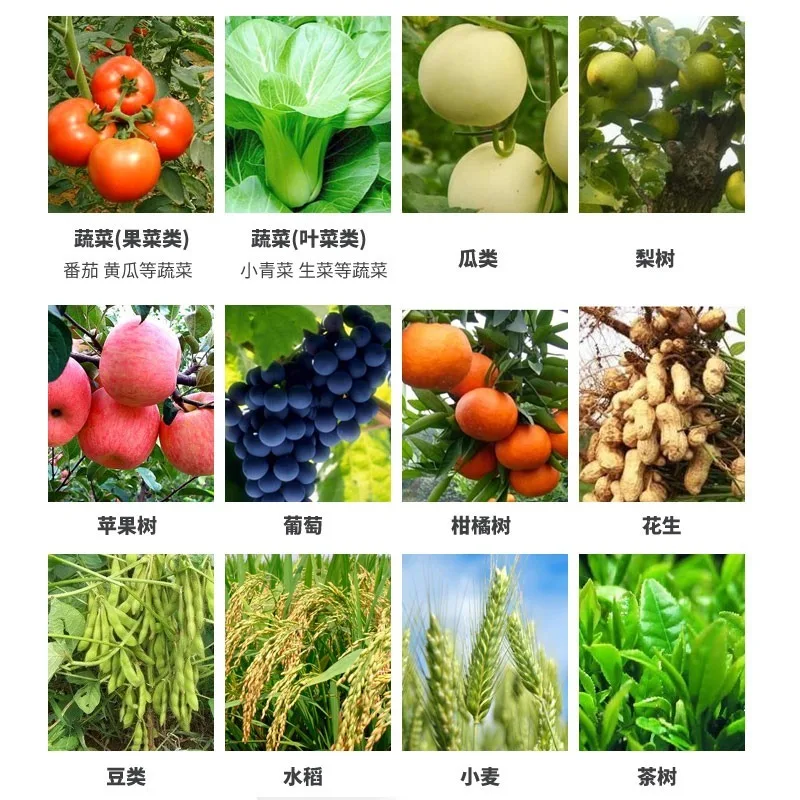 Plant Rooting Growth Drugs Pesticides Insecticides Sterilization Fertilizer Carbendazim for Flower Tree Plants Fungicides 80g | Дом и сад