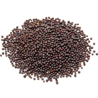 indian foo d curry spice mustard seeds 100g