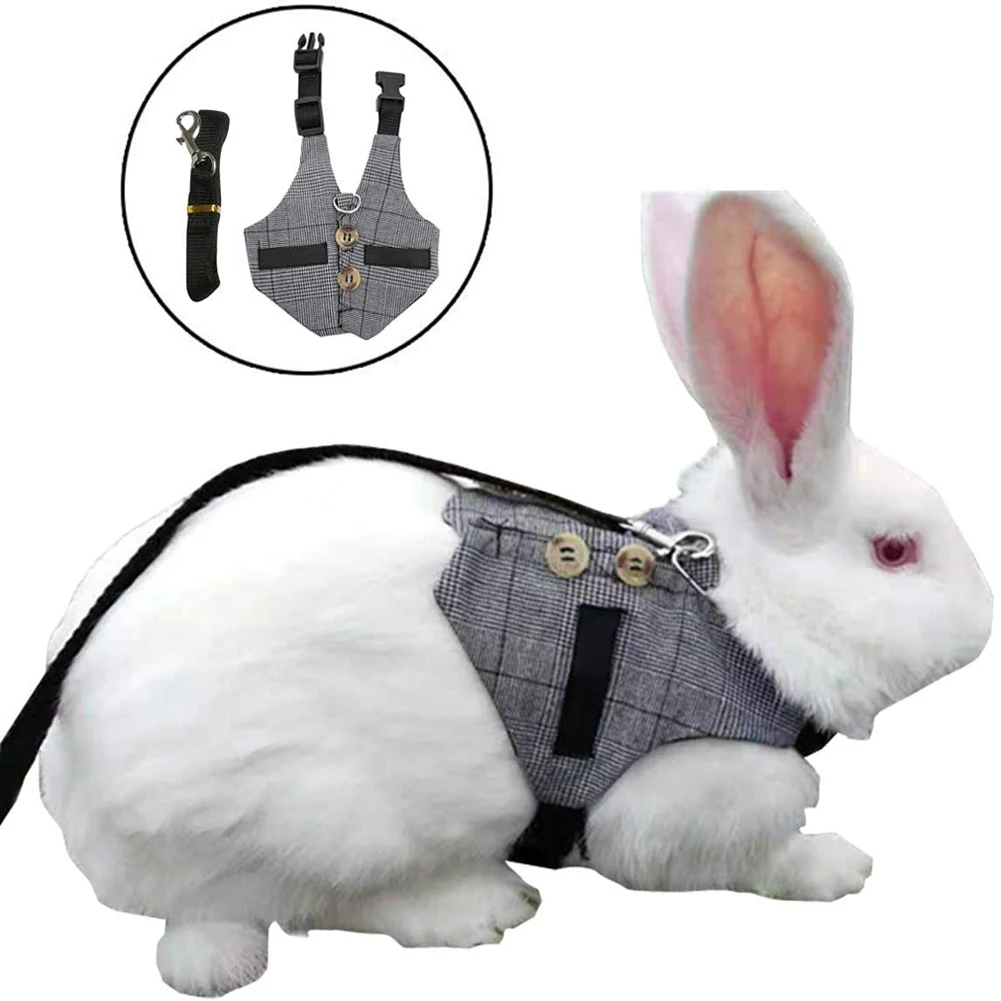 

Small Pet Rabbit Harness, Adjustable Breathable Rabbit Chest Strap Outdoor Pet Vest with Pulling Rope, S/M/L 2021 New Arrivals