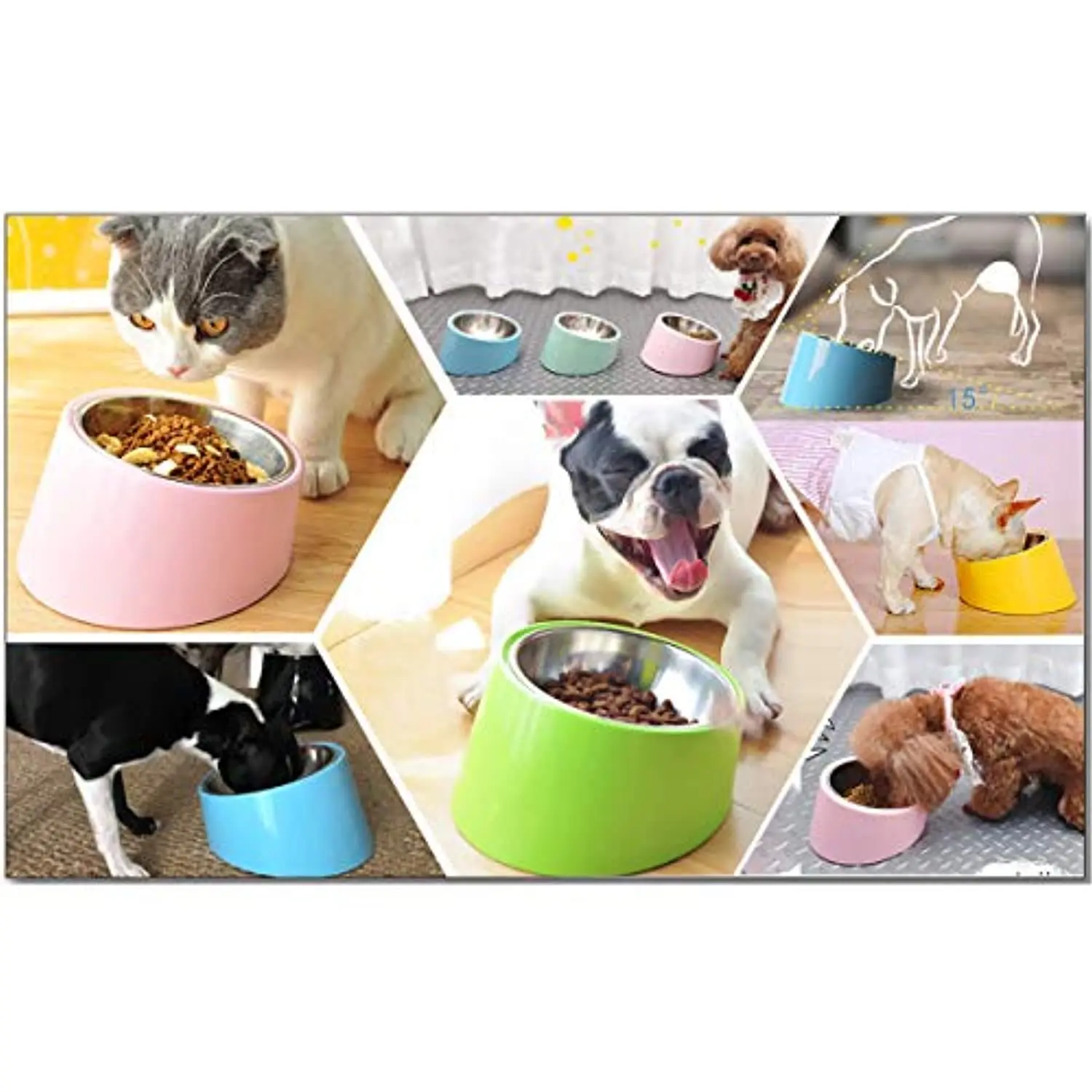 

Pet Supplies