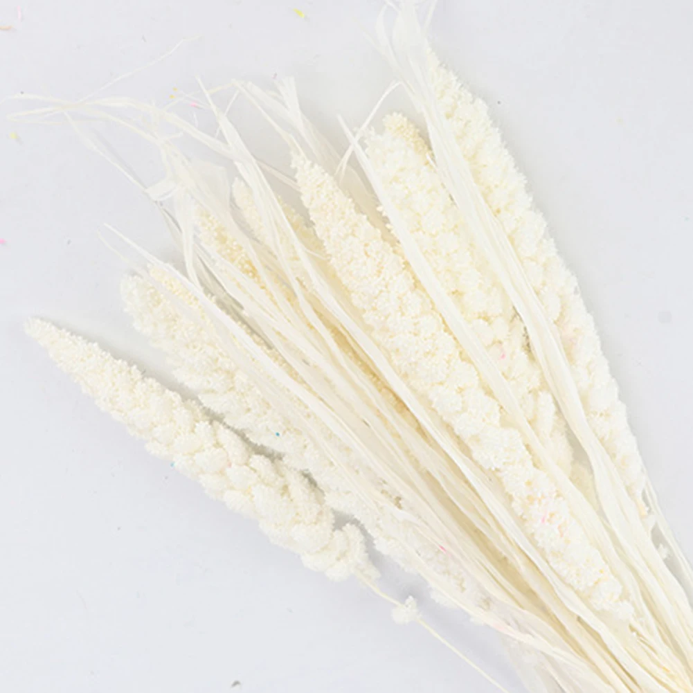 10 шт. Натуральные Сушеные свежие цветы в комплекте консервированный цветок из