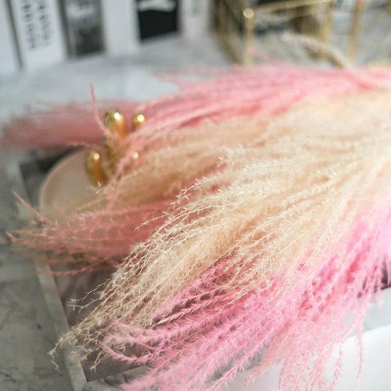 

Natural Pampas Grass Decor Flower Dried Plants Wedding Flowers Bunch Christmas Home Decor Phragmites Communis 10pcs Pink Flowers