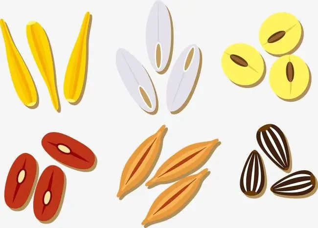 

Только для VIP-клиентов, свяжитесь со службой поддержки клиентов перед съемкой