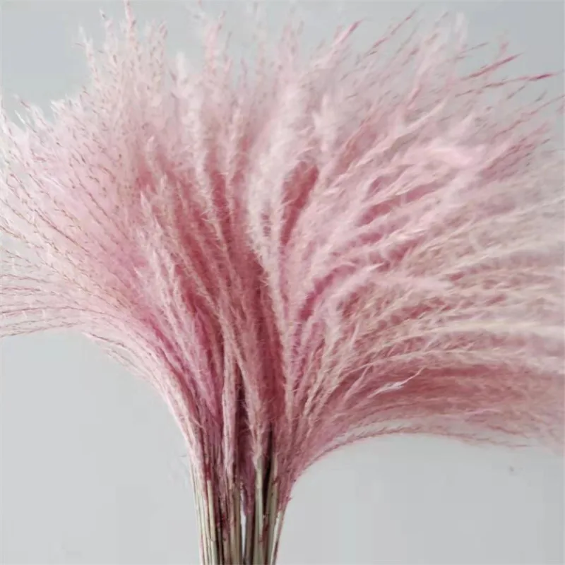 20 шт. свадебный Декор цветок розовый пампасы трава натуральный сухой букет цветы