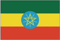 election 6090cm 90150cm 120180cm eth the federal democratic republic of ethiopia national flag
