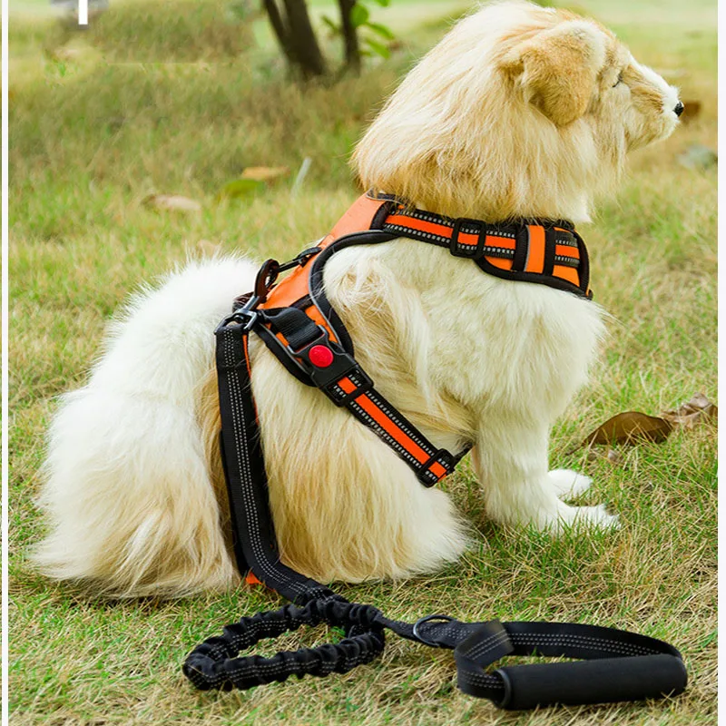 

Dog Accessories Pet Supplies Double Handle Elastic Reflective Traction Rope Explosion-proof Okinawa Pet Rope Dog Chain