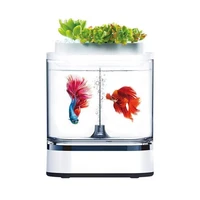 mini lazy desktop small fish tank can be separated from the fighting fish tank filter lighting oxygen supply aquarium accessorie
