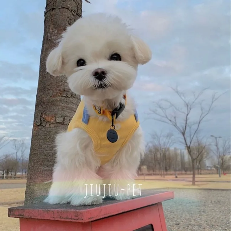 

Solid Color Dog Clothes Summer Buttons Cotton Dog Vest For Small Dogs Girl Breathable Dogs T-shirt Puppy Two-legged Clothes