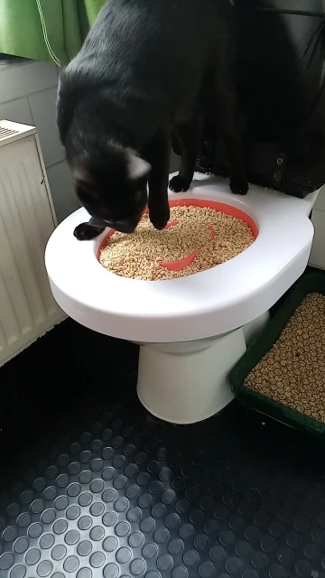Профессиональная кошка обучение сиденье для унитаза Pet Box Kit поезд любовь чистые кошки использовать унитаз для людей легко узнать туалет коробка подарок
