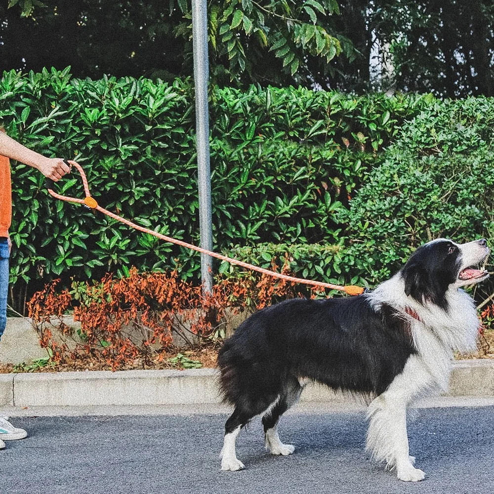 120 см поводок для собак веревка товары светоотражающий собачий пояс поводка