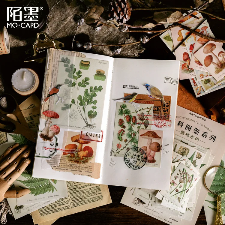 

60 шт./лот Kawaii канцелярские наклейки энциклопедия Винтаж DIY Ремесло Скрапбукинг альбом мусор журнал счастливый планировщик дневник наклейки