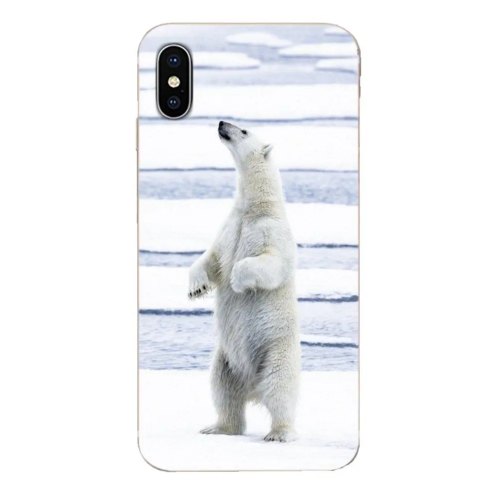 Черный Белый Медведь Мягкий ТПУ сотовый телефон для Huawei Honor Mate Nova Note 20 20s 30 5 5I 5T 6 7I 7C