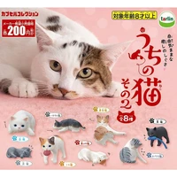 kawaii simulation mini animals cute cat capsule toys action figure toys ornaments anime decor