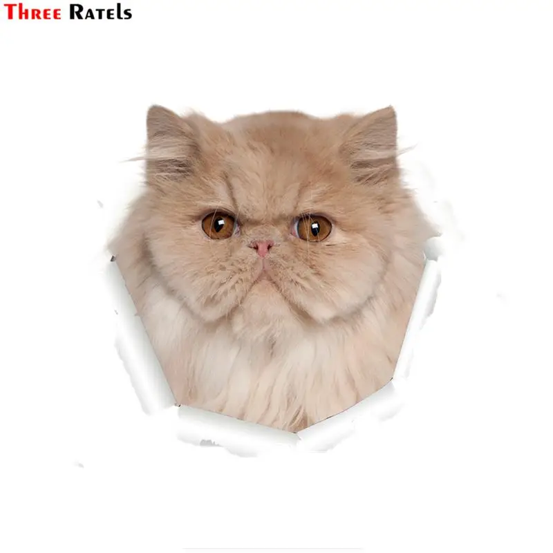 

Three Ratels QM-20 Cute 3D Persian Cat Stickers For Kids Adhesive Car Body