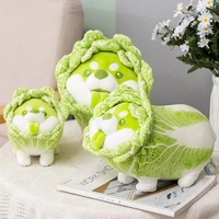 lovely vegetable fairy plush toy japanese cabbage dog fluffy stuffed animals dog soft doll shiba inu pillow baby kids toys gift